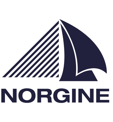 Norgine Logo
